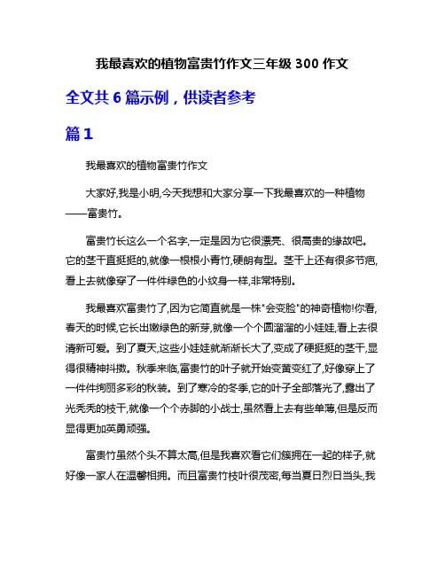 我最喜欢的植物富贵竹作文三年级300作文