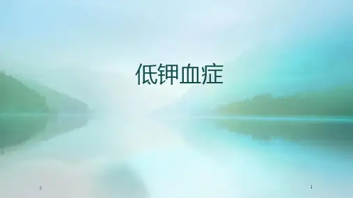 低钾血症PPT演示课件