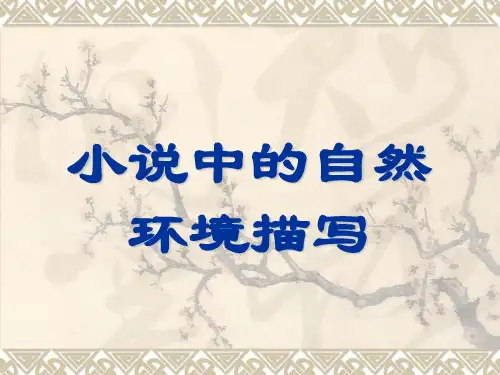小说中自然环境描写技巧1