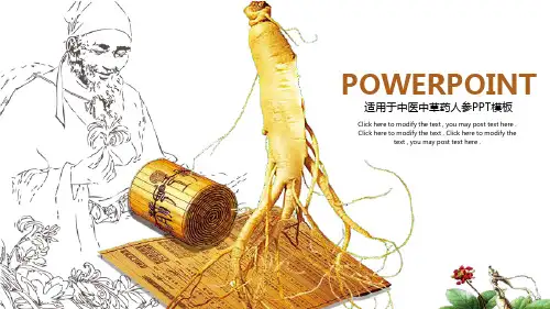 中国风中医中草药人参PPT模板