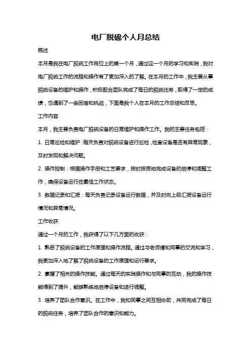 电厂脱硫个人月总结