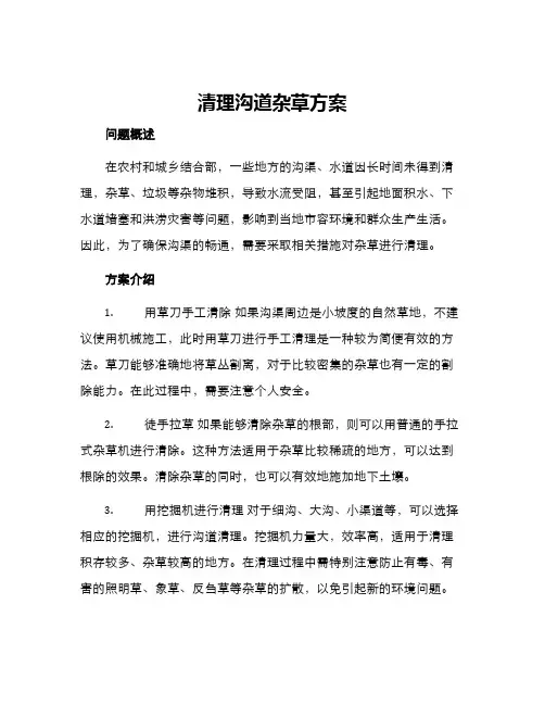清理沟道杂草方案