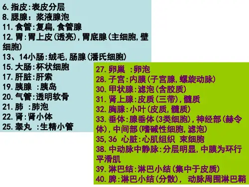 组胚实验切片