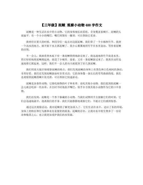 【三年级】泥鳅 观察小动物400字作文