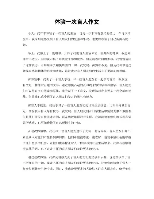 体验一次盲人作文