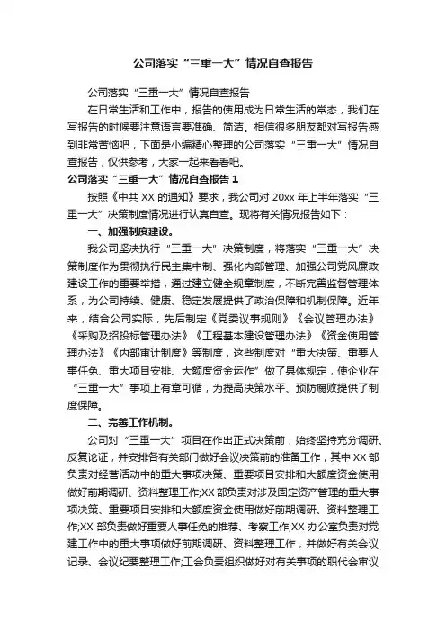 公司落实“三重一大”情况自查报告
