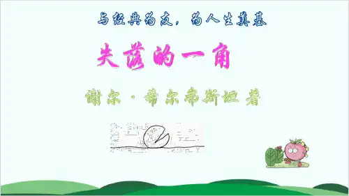 (五上)语文课件-《失落的一角》绘本 名著导读 (57张)