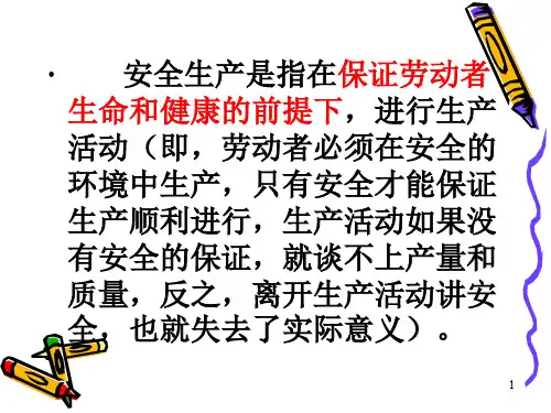 安全检查的内容和要求课件