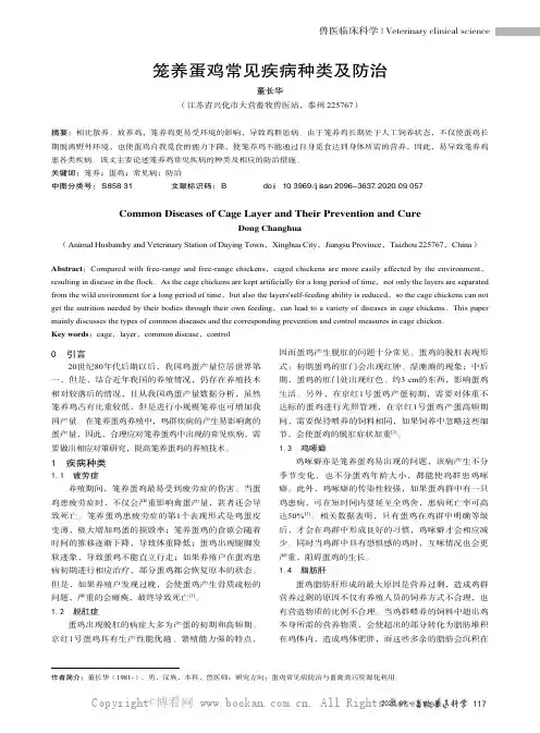 笼养蛋鸡常见疾病种类及防治