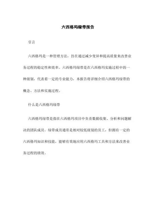 六西格玛绿带报告