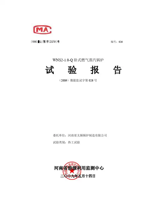 锅炉能效测试报告