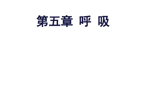生理学课件---呼吸