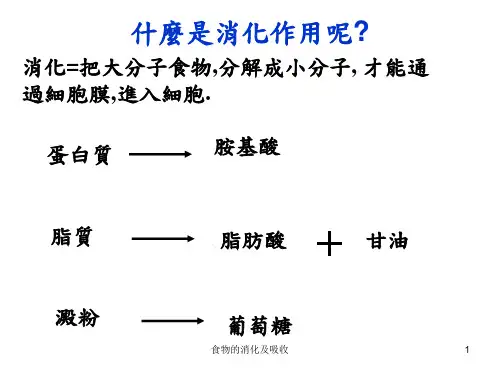 食物的消化及吸收课件