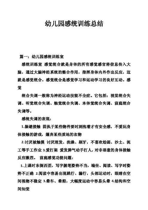 幼儿园感统训练总结