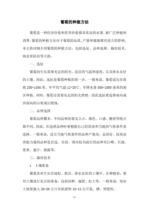 葡萄的种植方法