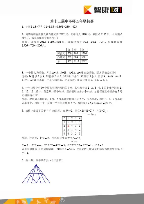 第十三届中环杯五年级初赛试题+解析