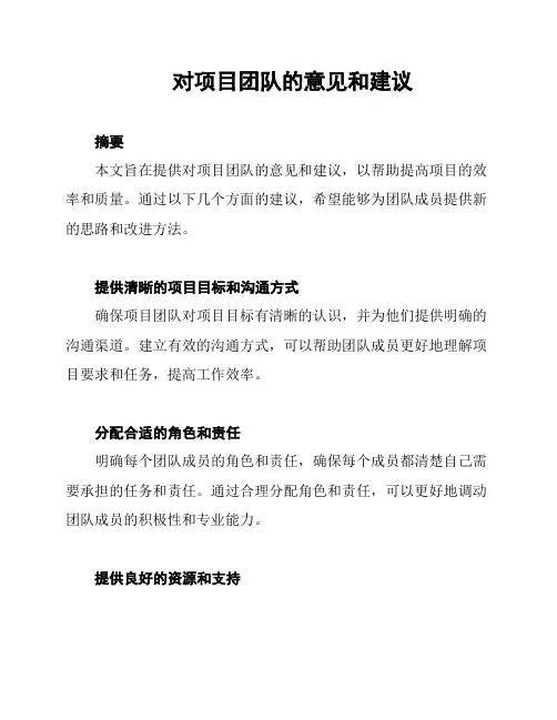对项目团队的意见和建议