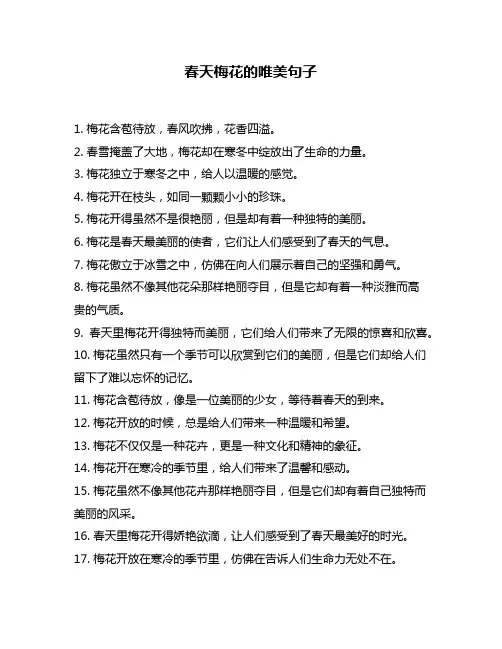 春天梅花的唯美句子