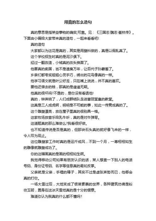 用真的怎么造句