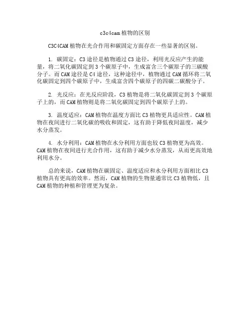 c3c4cam植物的区别