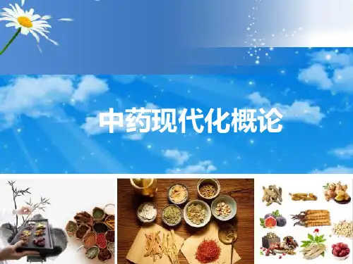 中药现代化概论