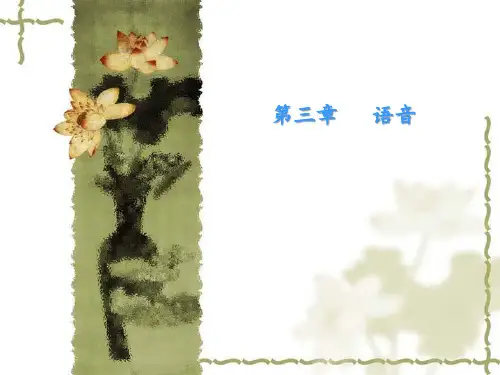 元音和辅音元音和辅音的区别