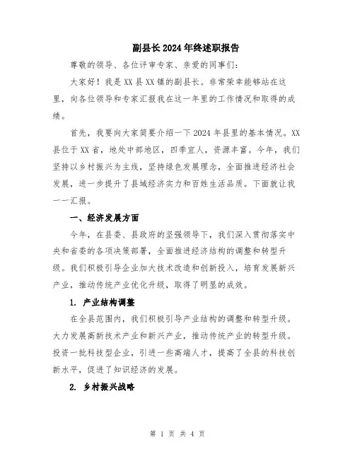 副县长2024年终述职报告
