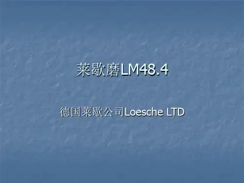莱歇磨讲稿
