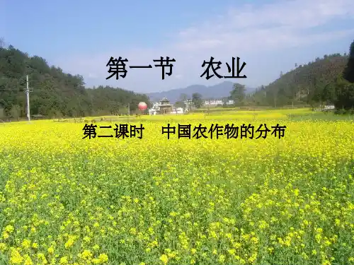 中国农作物的分布ppt课件