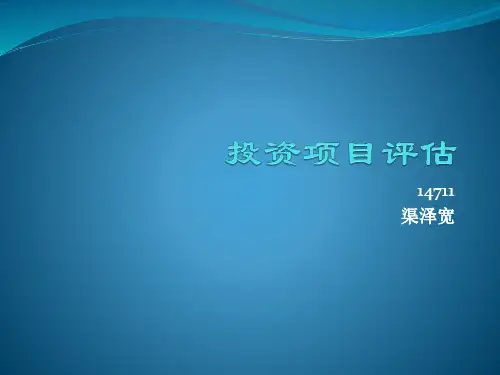 投资项目评估
