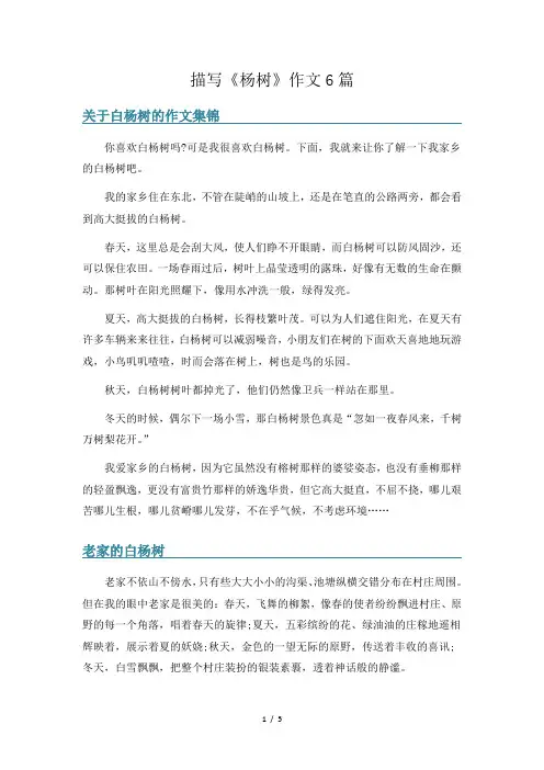 描写《杨树》作文6篇