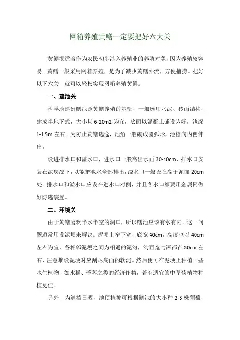 网箱养殖黄鳝一定要把好六大关
