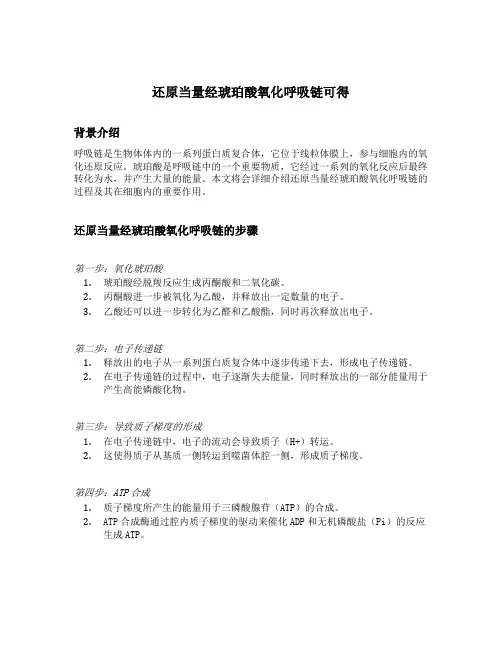 还原当量经琥珀酸氧化呼吸链可得