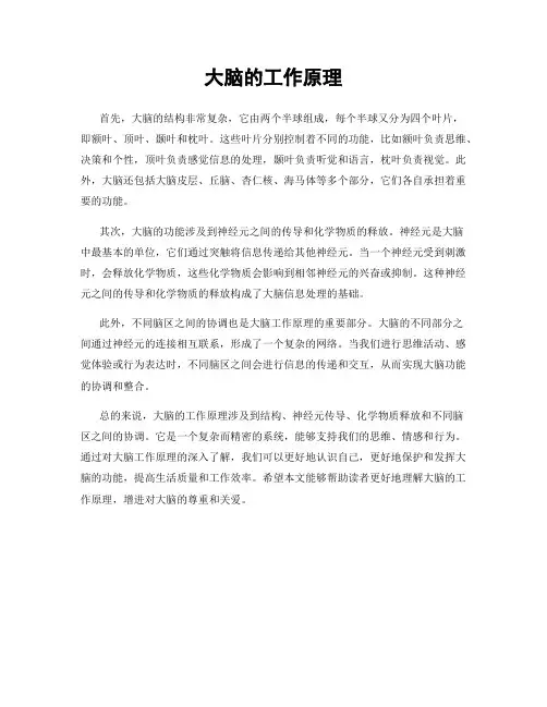 大脑的工作原理