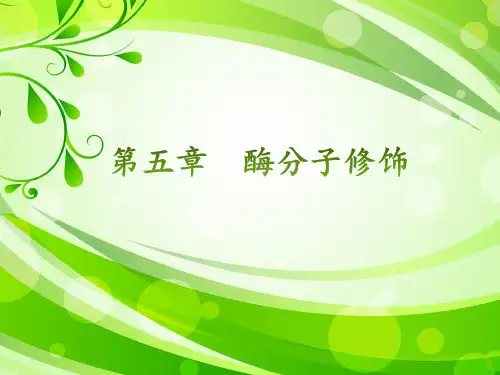 酶分子修饰