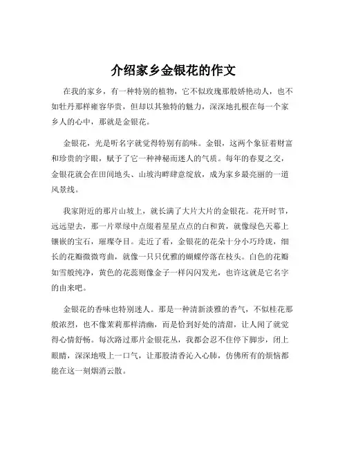 介绍家乡金银花的作文