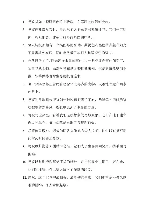 描写蚂蚁的优美句子 (3)