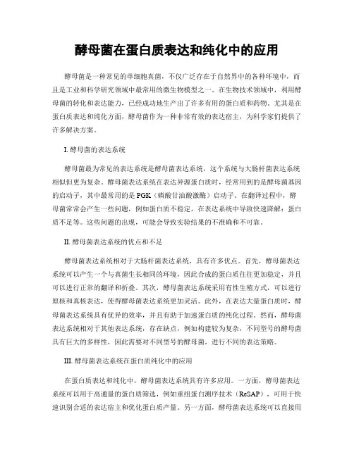 酵母菌在蛋白质表达和纯化中的应用