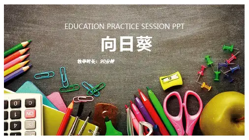 美术教学PPT课件——向日葵