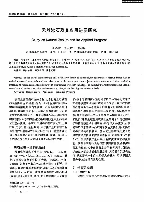 天然沸石及其应用进展研究