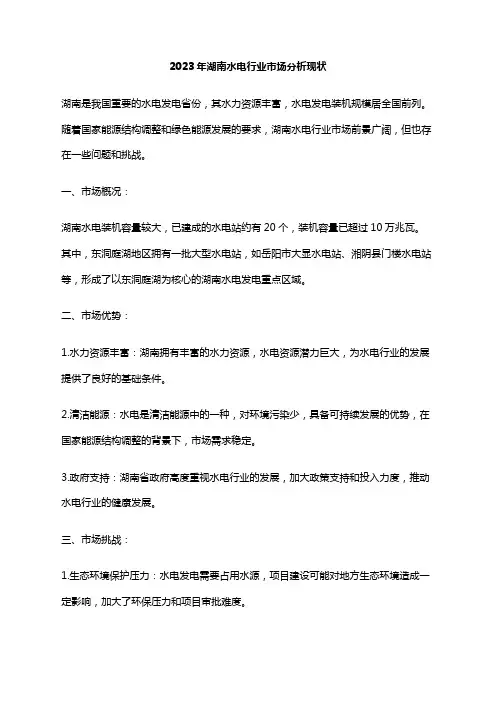 2023年湖南水电行业市场分析现状