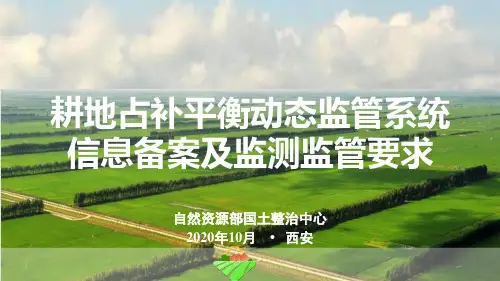 耕地占补平衡动态监管系统信息备案及监测监管要求PPT