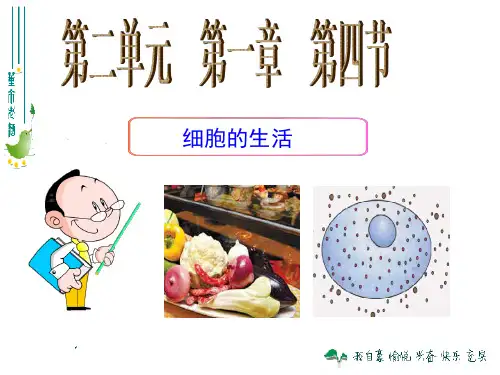 2014年新人教版七年级生物上册-第二单元-第一章-第四节-细胞的生活-课件