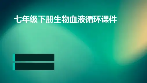 七年级下册生物血液循环课件