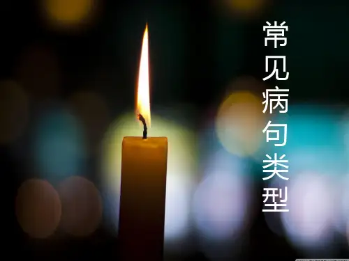 常见病句类型