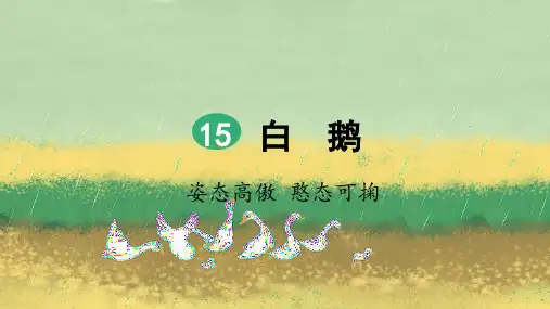 统编版四年级语文下册第15课《白鹅》优秀课件