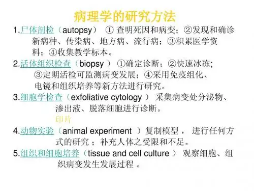 绪论第一章
