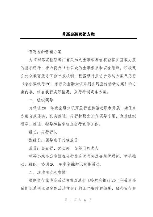 普惠金融营销方案