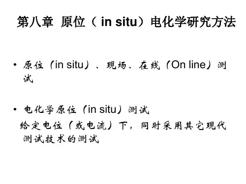 第8章  原位( in situ)电化学研究方法