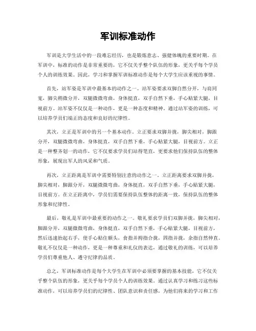 军训标准动作